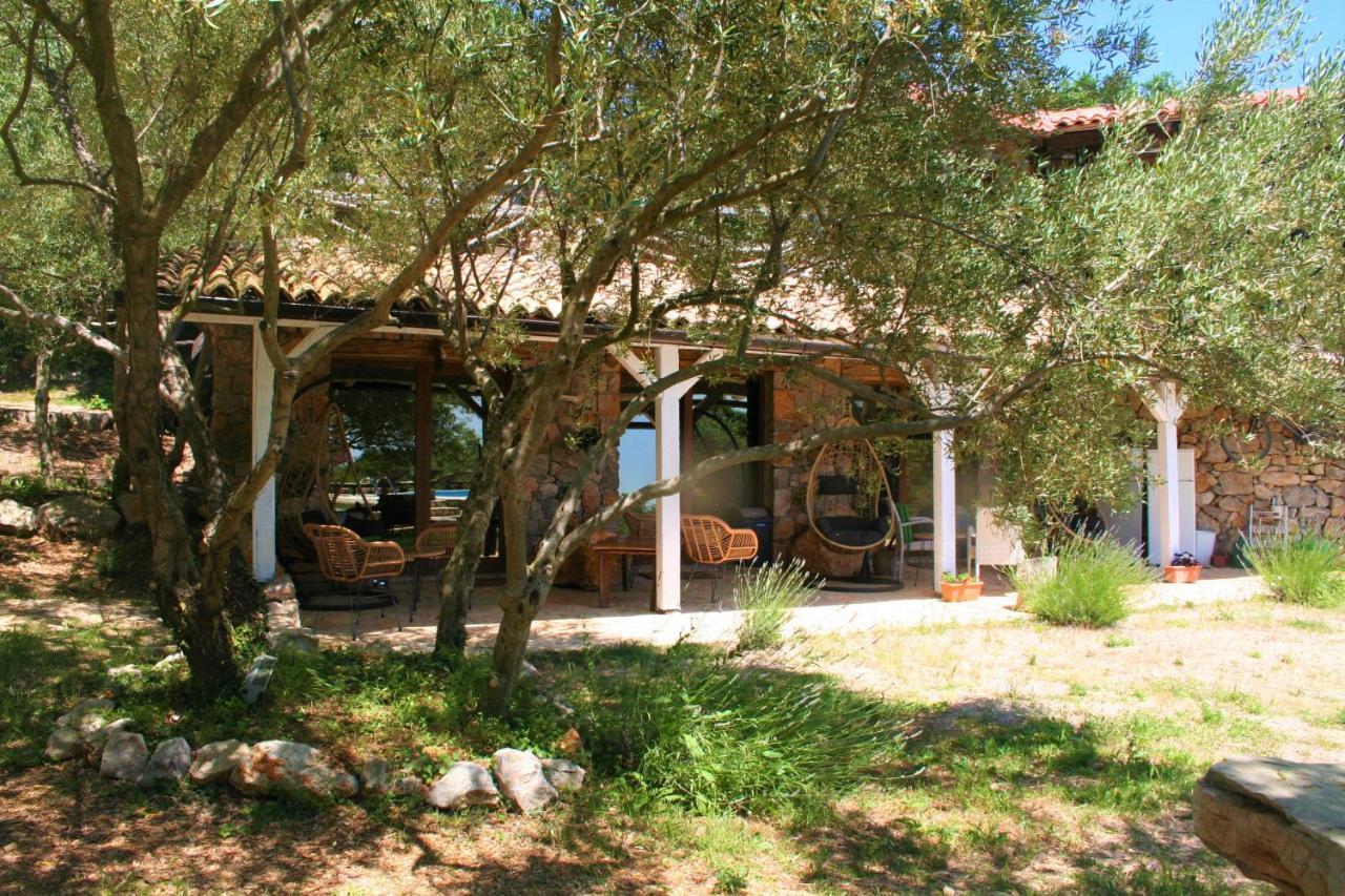 Boutique B&B Agroturizam Sv. Juraj Vrh  Eksteriør billede